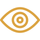 vision